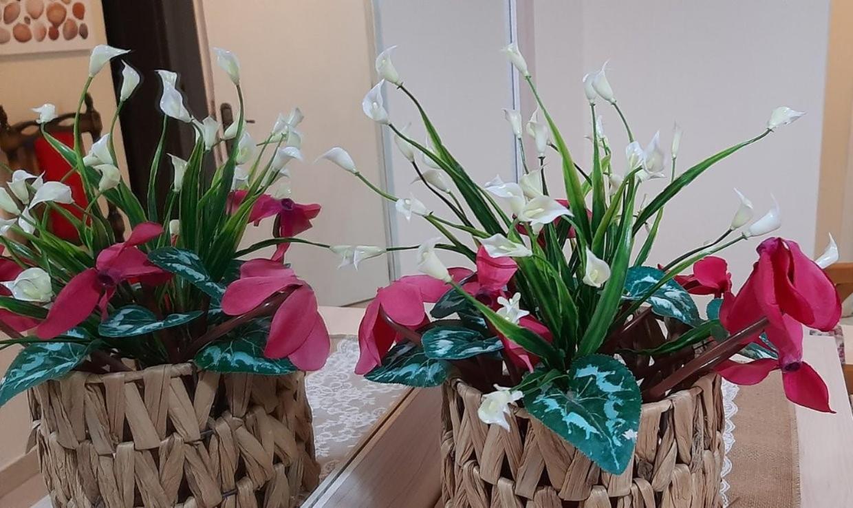 Evelyn Home Limenas  Luaran gambar